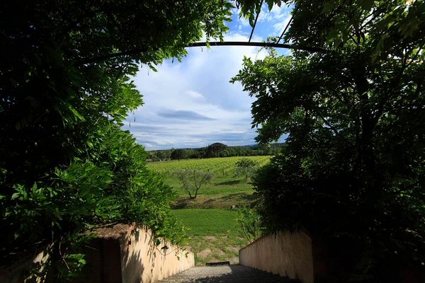 Estate and facilities 3