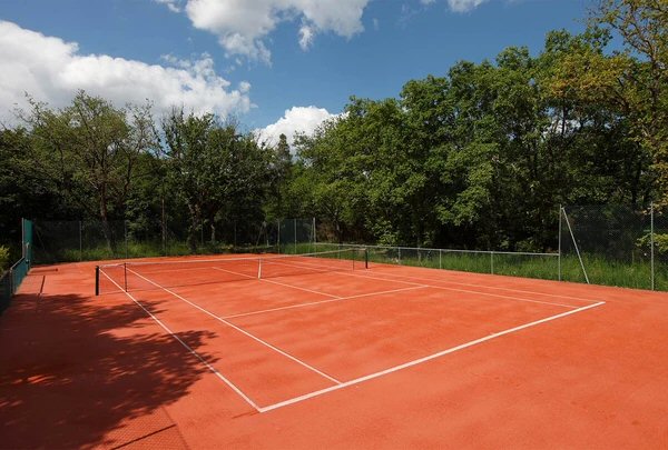 Estate and facilities 6