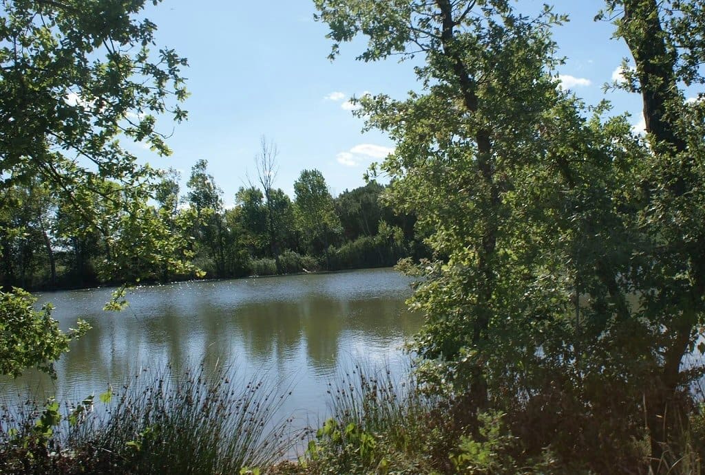 Estate and facilities 7